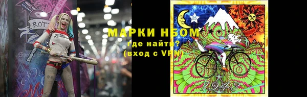 шишки Медвежьегорск
