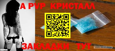 стаф Будённовск
