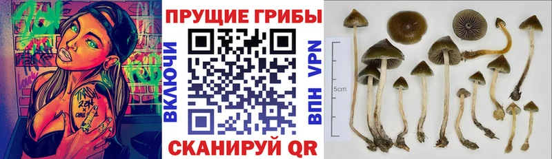 как найти закладки  Ессентуки  Галлюциногенные грибы мухоморы 