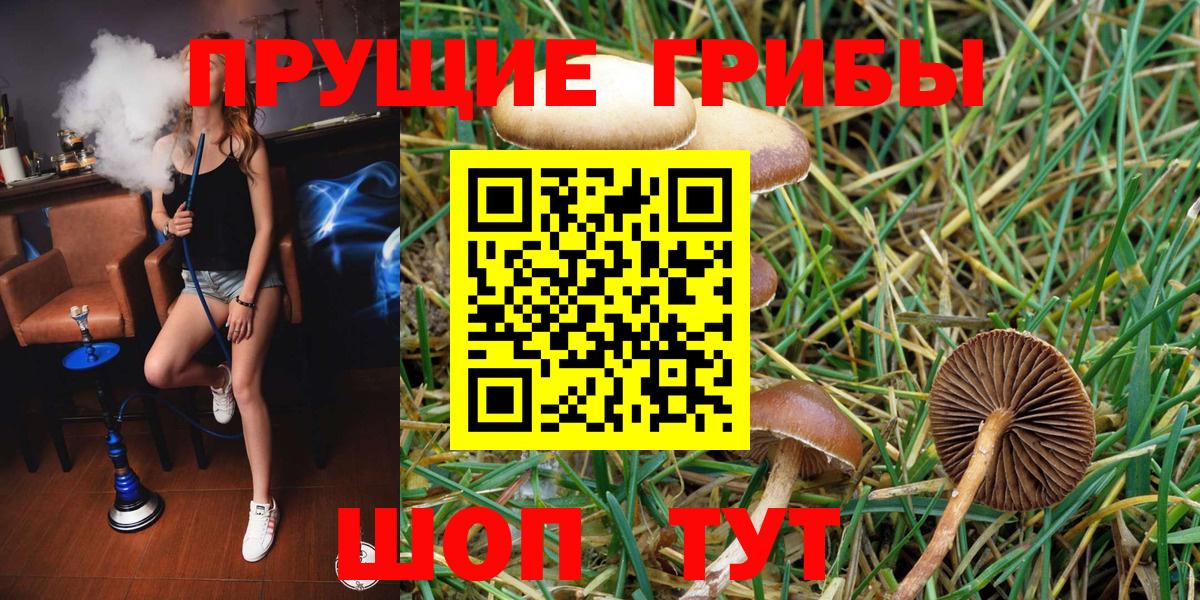 Галлюциногенные грибы ЛСД Ессентуки
