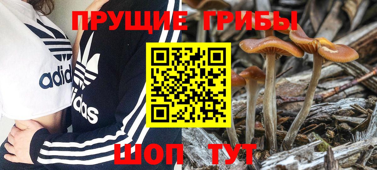 Ессентуки  Псилоцибиновые грибы ЛСД  Вход с VPN 