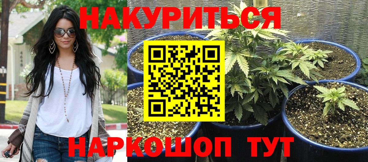 Конопля сатива  Вход с VPN  Бошки марихуана AK-47  МАРИХУАНА AK-47  Ессентуки 